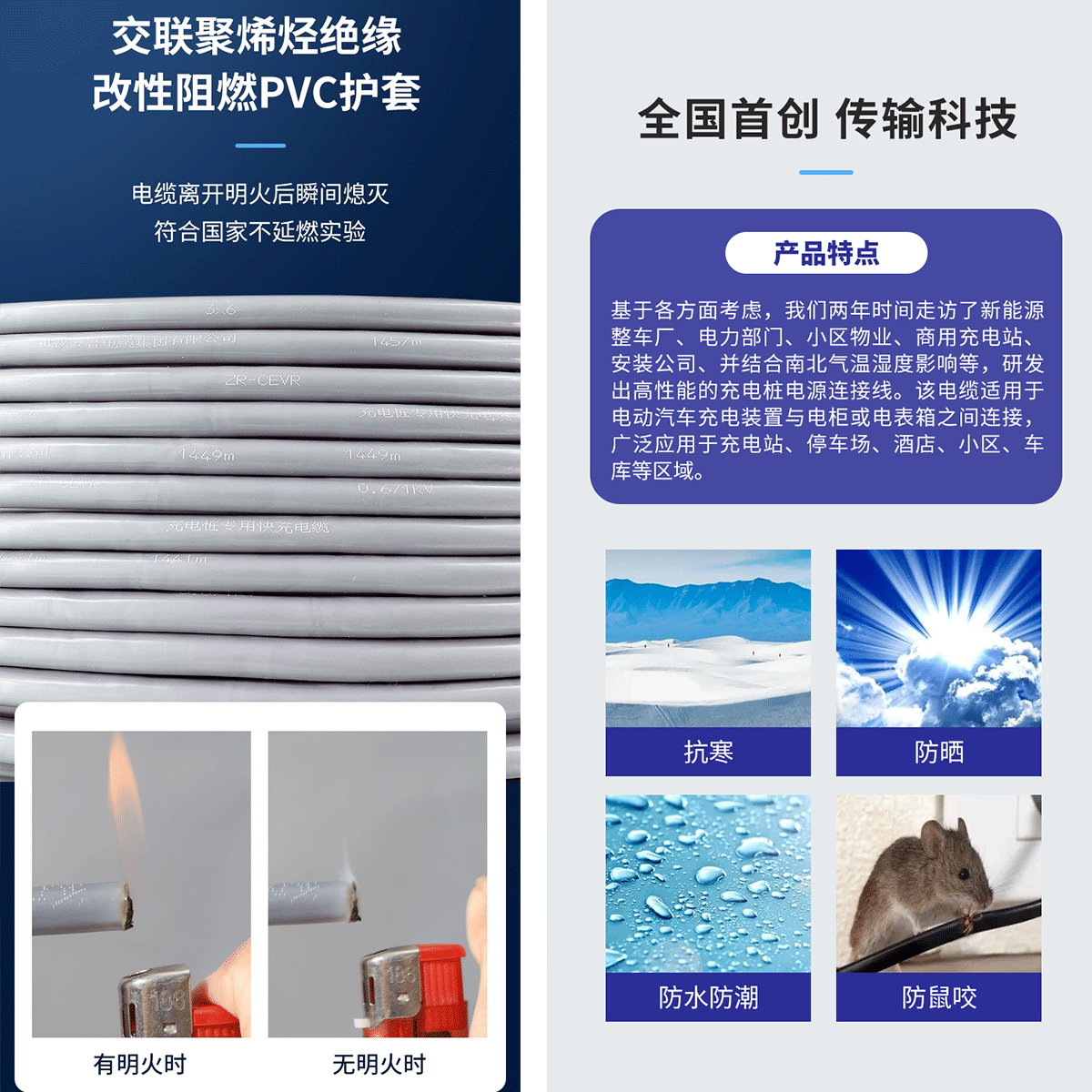 緊跟時(shí)代,藍(lán)海啟航! 緊跟時(shí)代,藍(lán)海啟航!